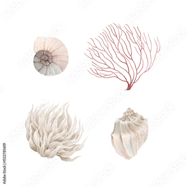 Obraz Watercolor set with delicate coral, shells and plant, isolated hand-drawn illustration for your decorative design card, poster or background.