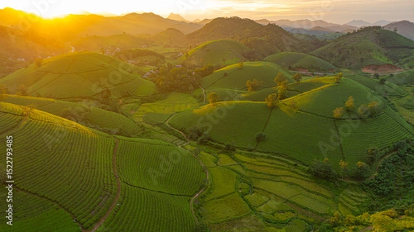 Obraz A breathtaking sunrise illuminates the rolling green hills with golden light, casting a warm glow across the lush landscape and distant mountains. This serene scene captures the tranquility of nature 