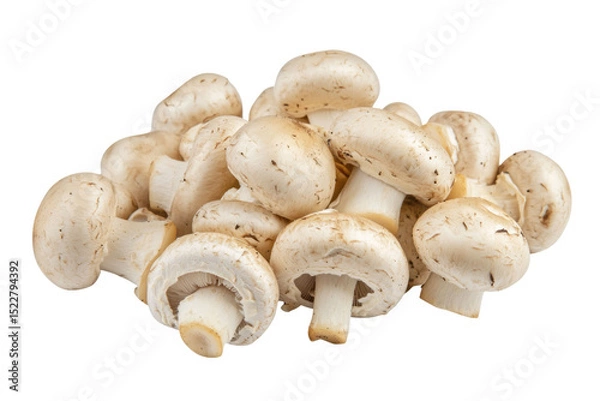 Obraz champignon mushrooms isolated on white background, with clipping path. PNG