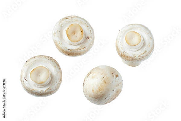 Obraz champignon mushrooms isolated on white background, with clipping path. PNG