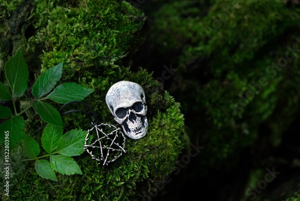 Fototapeta Human skull occult amulet and pentacle talisman on moss close up, mystical forest. Mysticism, divination, wicca, occultism, Witchcraft concept. magic esoteric ritual. top view. soft focus