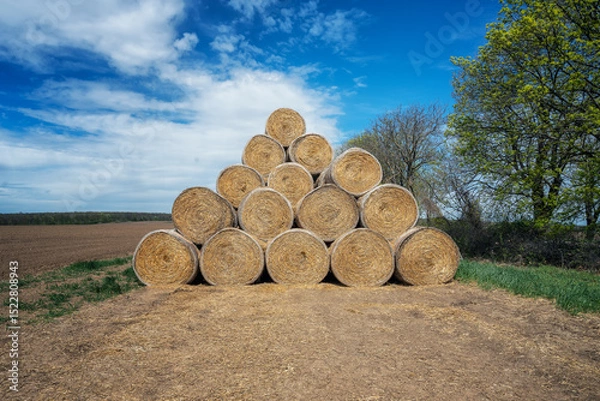 Fototapeta Amazing view with a large pile of bales of hay and blue sky with fluffy white clouds