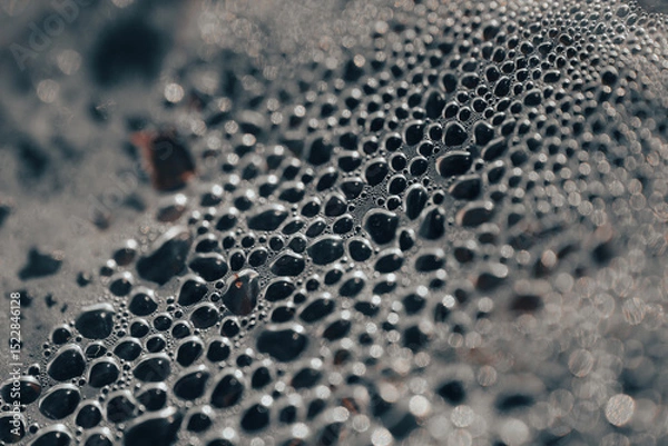 Fototapeta Water droplets gathered on a surface covered in fine textures. Abstract natural texture.