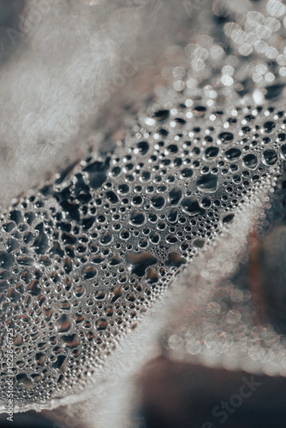 Fototapeta Water droplets gather on a surface covered in fine textures, glistening in soft light after recent rain. Small plants are visible in the background, enhancing the natural ambiance.