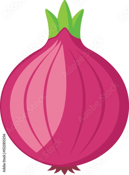 Obraz red onion isolated on white