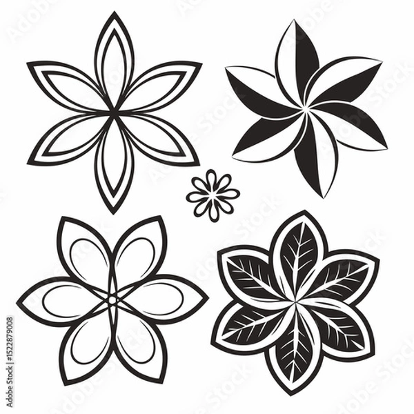 Fototapeta Floral Design Elements: A set of elegant black and white floral design elements, perfect for adding a touch of sophistication to any project.  The designs vary in style.