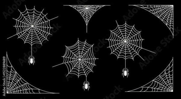 Fototapeta Collection of Spiderwebs and Spiders on a Black Background