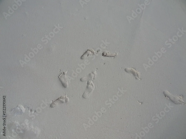 Obraz Footprints in the sand