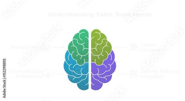 Fototapeta Brainstorming: A graphic illustration of a human brain, sectioned and colored to illustrate different cognitive functions, symbolizing the multifaceted nature of the mind.