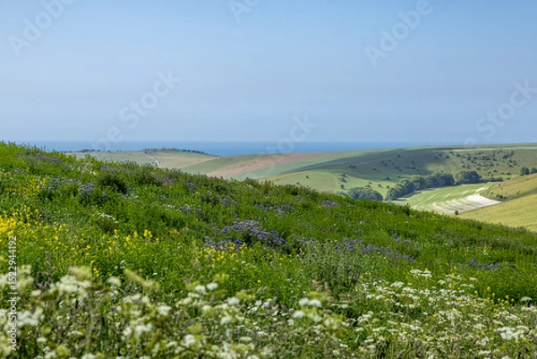 Obraz Looking out over a wildflower meadow on a South Downs hillside, with the ocean in the distance