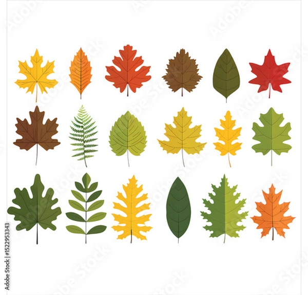 Fototapeta Tree Leaf Illustration Pack - Nature and Forest Elements Clip transparent background
