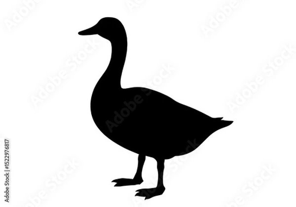 Fototapeta Duck Silhouette PNG – Transparent Vector Bird Outline.