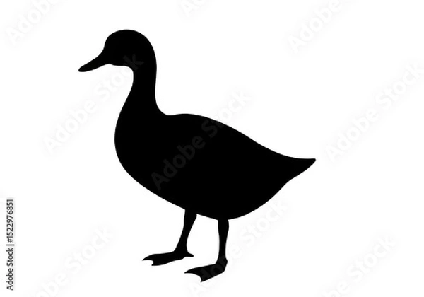 Fototapeta Duck Silhouette PNG – Transparent Vector Bird Outline.