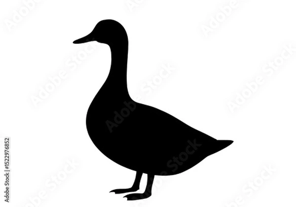 Fototapeta Duck Silhouette PNG – Transparent Vector Bird Outline.