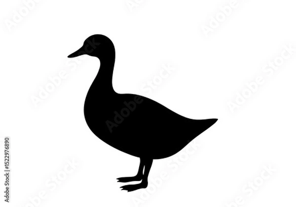 Fototapeta Duck Silhouette PNG – Transparent Vector Bird Outline.