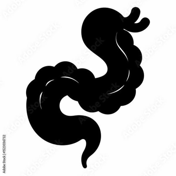 Obraz Human organ small intestine vector art white background