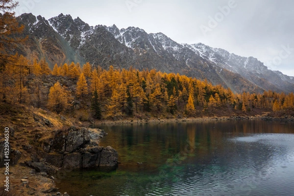 Obraz Mountain lake surrounded by golden autumn trees under snow-capped mountains in overcast weather. Scenic and tranquil natural landscape perfect for exploring rugged wilderness.