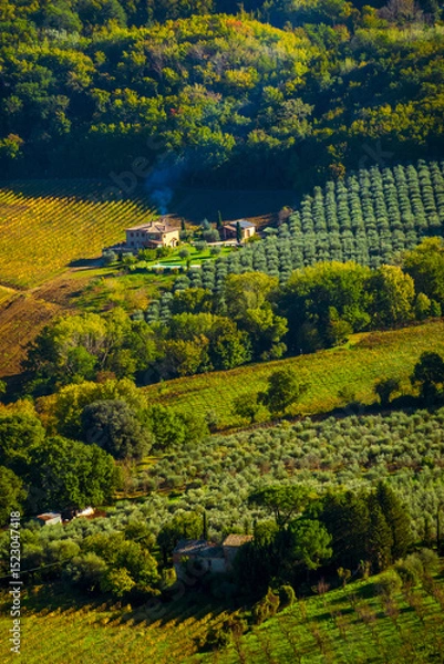 Obraz A picturesque countryside location featuring a rustic farmhouse amidst olive groves and a vineyard. Lush greenery and rolling hills provide a serene atmosphere