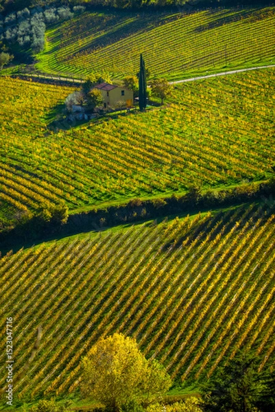 Obraz Vibrant autumn countryside image of a lush vineyard with a charming rural home surrounded by nature.