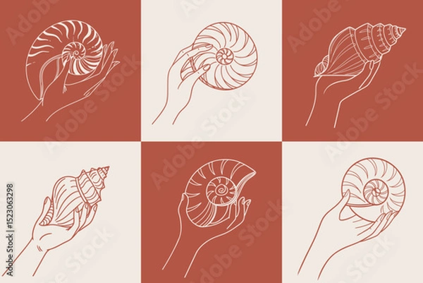 Fototapeta Set of hand drawn seashells in hands. Hands holding seashells. Line art style illustration.