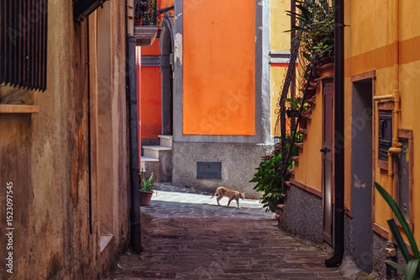 Obraz view of the village of Sarconi, Potenza province, Basilicata