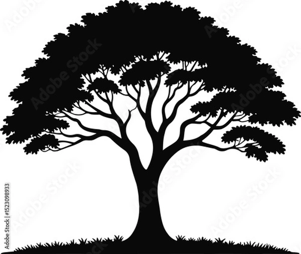 Obraz Tree Silhouette Vector Art