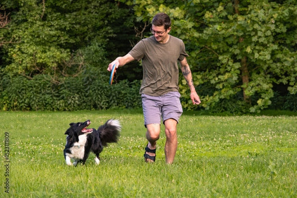Obraz Man playing frisbee with his Border Collie dog