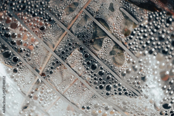 Fototapeta Water droplets gathered on a surface covered in fine textures. Abstract natural texture.