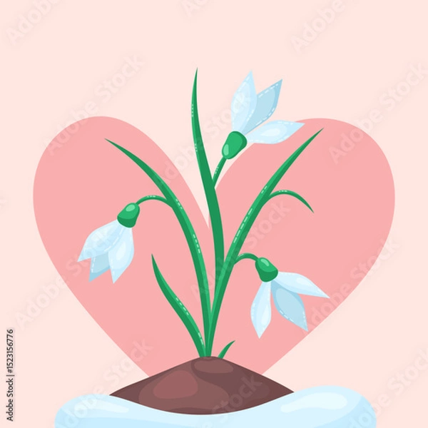 Fototapeta Spring flowers snowdrops grow from the ground in thawed patch. Delicate pink background in the shape of heart. Vector illustration.