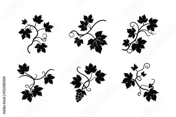 Obraz  set of grapevine branch with lobed leaves silhouette vector