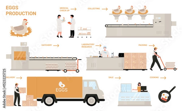 Obraz Egg process production in chicken poultry factory infographic vector illustration. Cartoon manufacture processing technology of making egg products, automated line of food industry isolated on white
