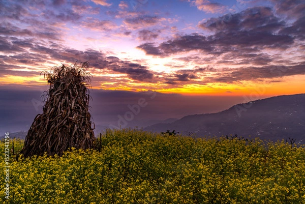 Obraz sunrise over the field