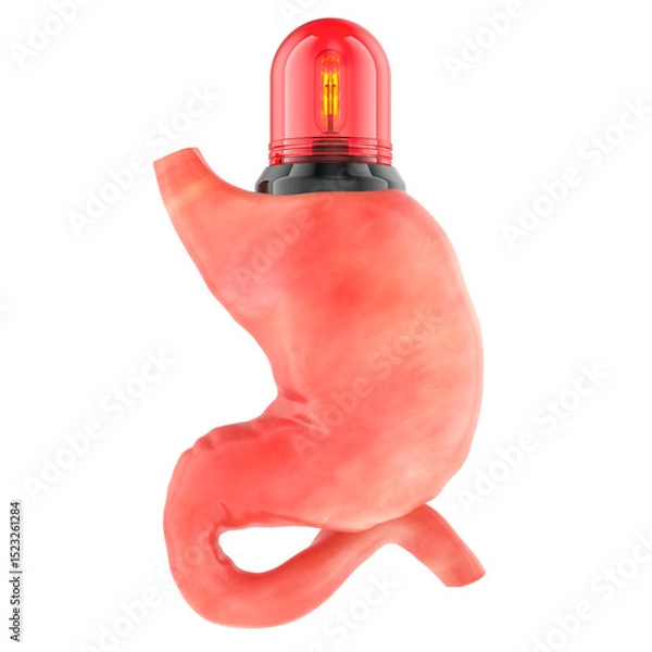 Obraz Stomach with alert beacon, health emergency and pain warning or urgent medical condition. 3D rendering isolated on transparent background