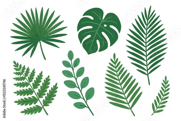 Fototapeta A collection of tropical leaves is presented, featuring isolated fern elements against a white backdrop, including jungle forest and domestic home leaves, exotic eucalyptus foliage, and real palm