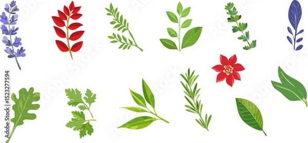 Obraz An assortment of vibrant plants, herbs and flower on display. A collection of fresh, colorful botanicals for use in design projects.