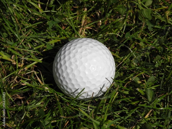 Obraz piłka golfowa #2