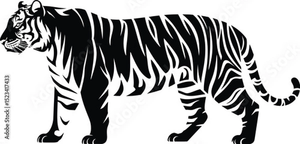 Fototapeta A black and white graphic illustration of a tiger standing on a white background in side profile