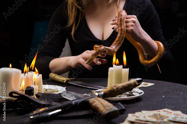Fototapeta The serpent tempter helps a witch to do the blood rituals of black magic