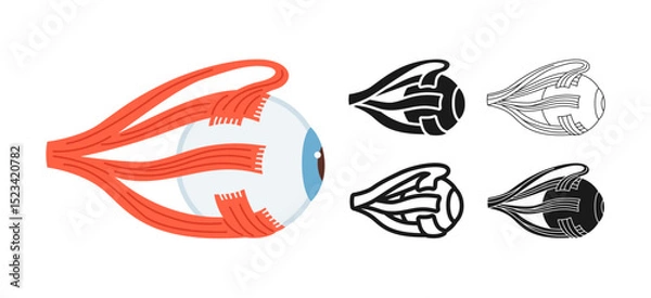Fototapeta Human eyeball symbol set. Anatomical structure of the eye muscles symbol white background. Drawing human organ of vision structure for medical infographic, children simple design vector illustration