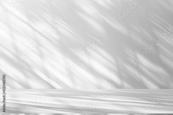 Obraz Wall interior background, studio and backdrops show products.with shadow from window color white and grey. background for text insertion and presentation product	
