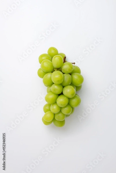 Obraz 샤인머스캣