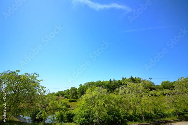 Obraz 青空と自然の緑