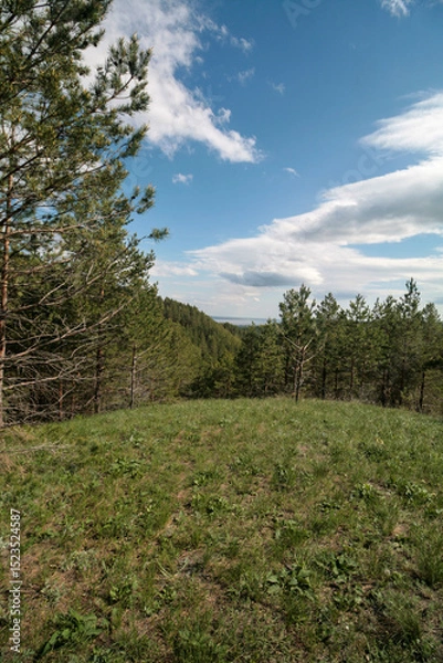 Obraz Spring green forest, Volga region, Russia.