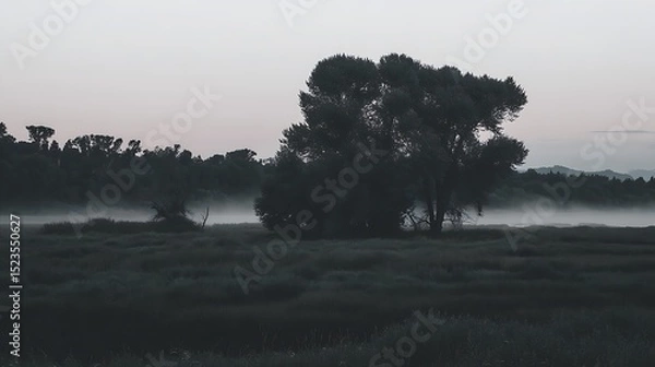 Obraz Gloomy marsh landscape with fog