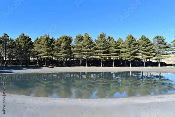 Obraz Serene Lake Reflection Photo