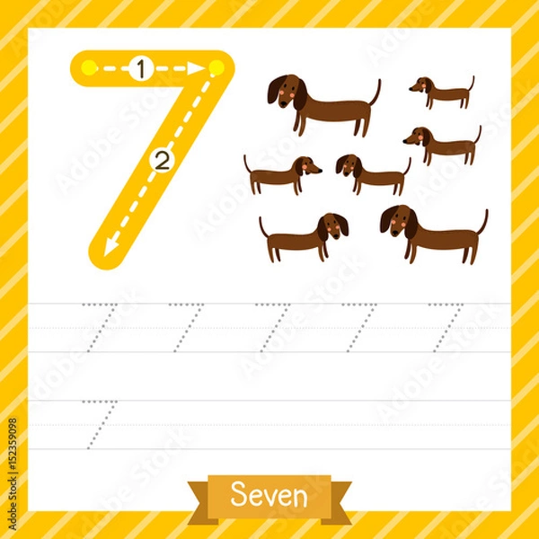 Fototapeta Number seven tracing practice worksheet with 7 dogs for kids learning to count and to write. Vector Illustration.