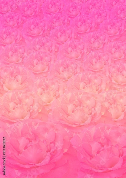 Obraz Pink damask rose flower pattern background