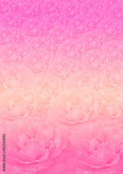 Obraz Pink damask rose flower pattern background