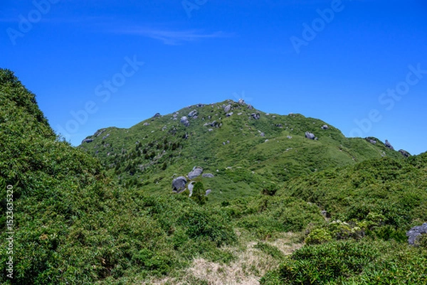 Obraz 屋久島の登山道の景色