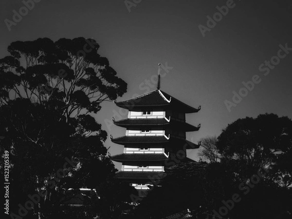 Obraz Pagoda